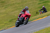 PJ-Motorsport-2019;anglesey-no-limits-trackday;anglesey-photographs;anglesey-trackday-photographs;enduro-digital-images;event-digital-images;eventdigitalimages;no-limits-trackdays;peter-wileman-photography;racing-digital-images;trac-mon;trackday-digital-images;trackday-photos;ty-croes